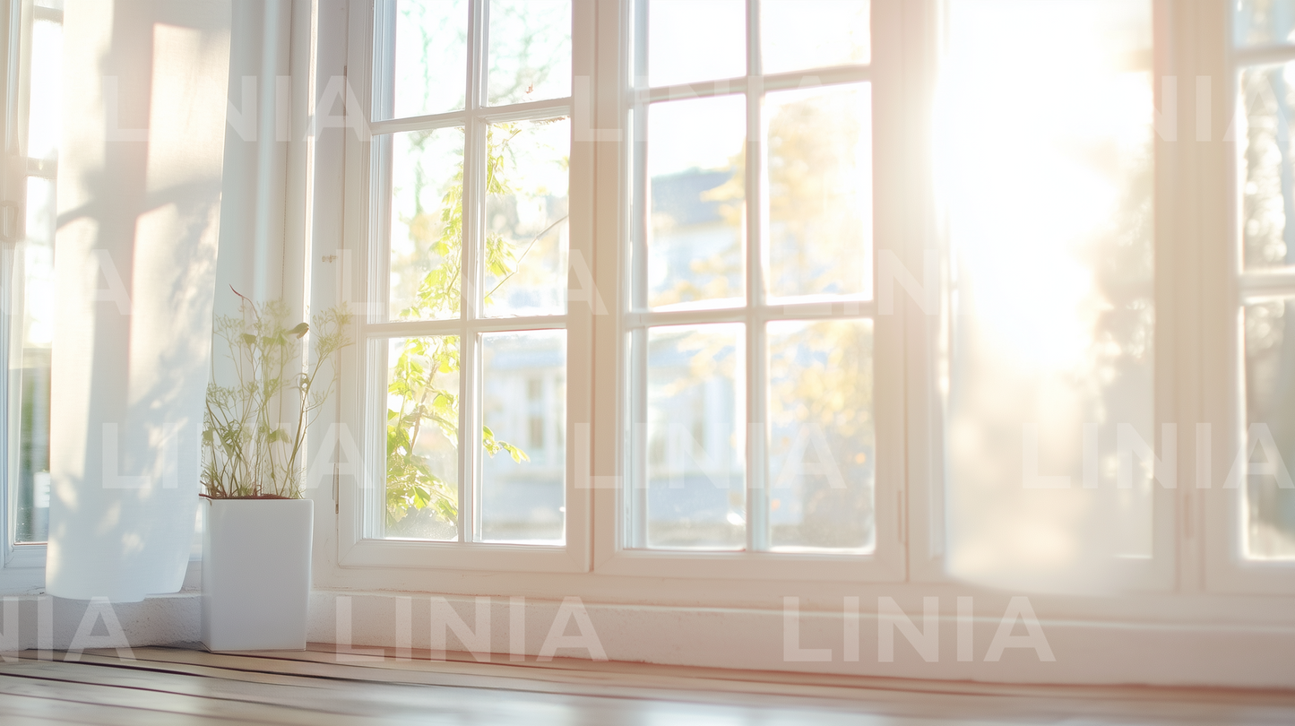 Zoom Background With Windows