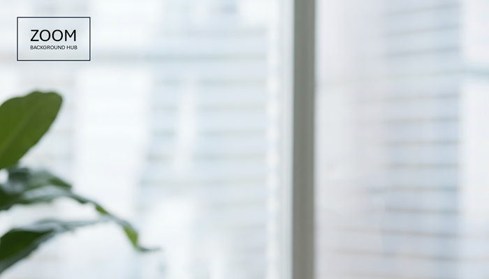Professional Background for Zoom - Window Office