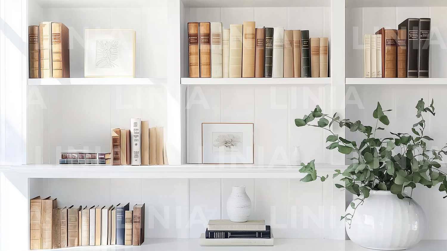 Wall and Bookshelf Zoom Backgrounds