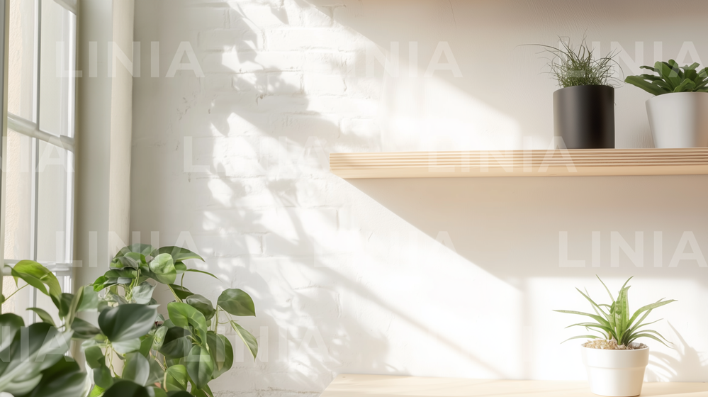 Zoom Background Image