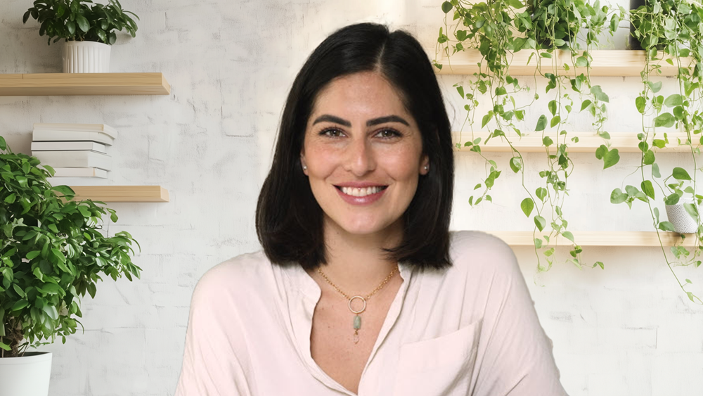 Shelves Background for Desktop