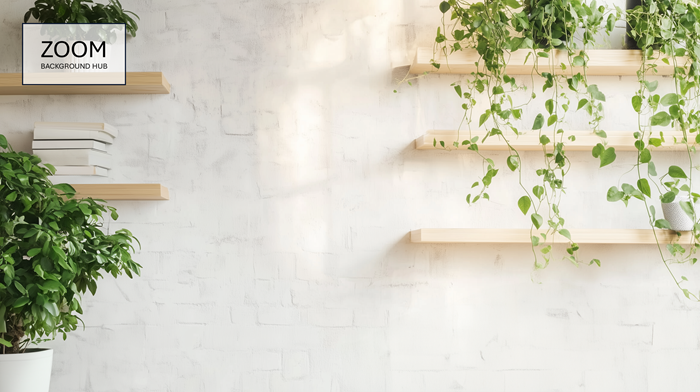 Shelves Background for Zoom