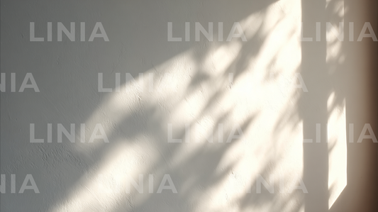 White Wall Background for Zoom