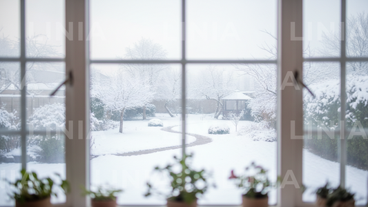 Zoom Winter Window Background