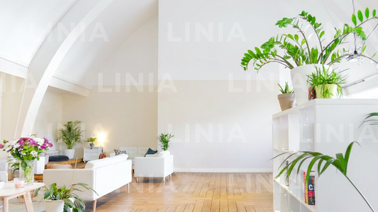 White Zoom Background With Plants