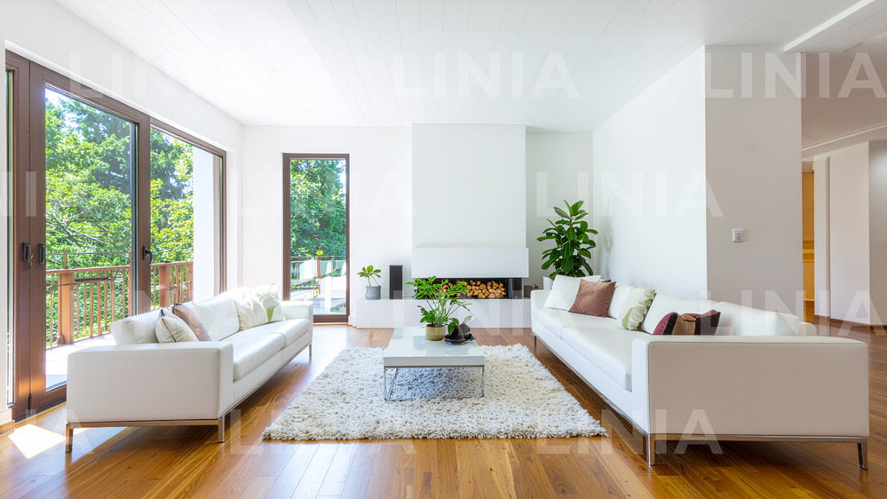 White Living Room Zoom Background