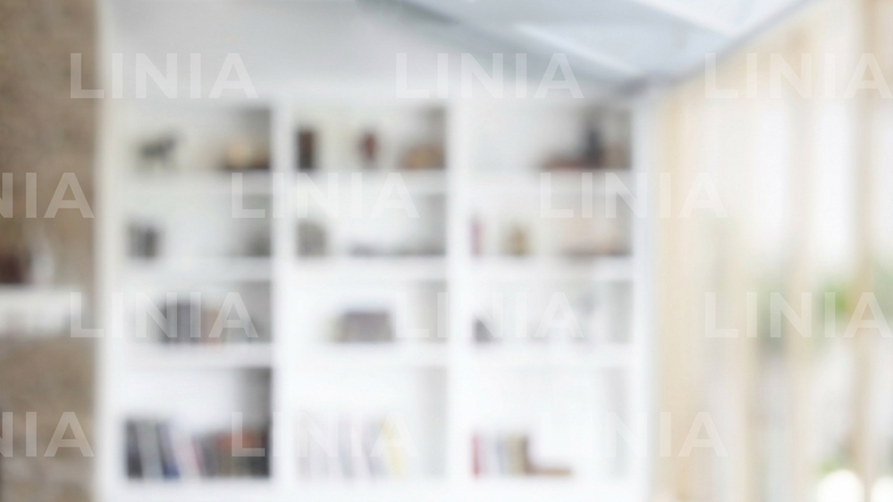 Professional Zoom Background