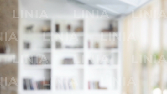 Professional Zoom Background