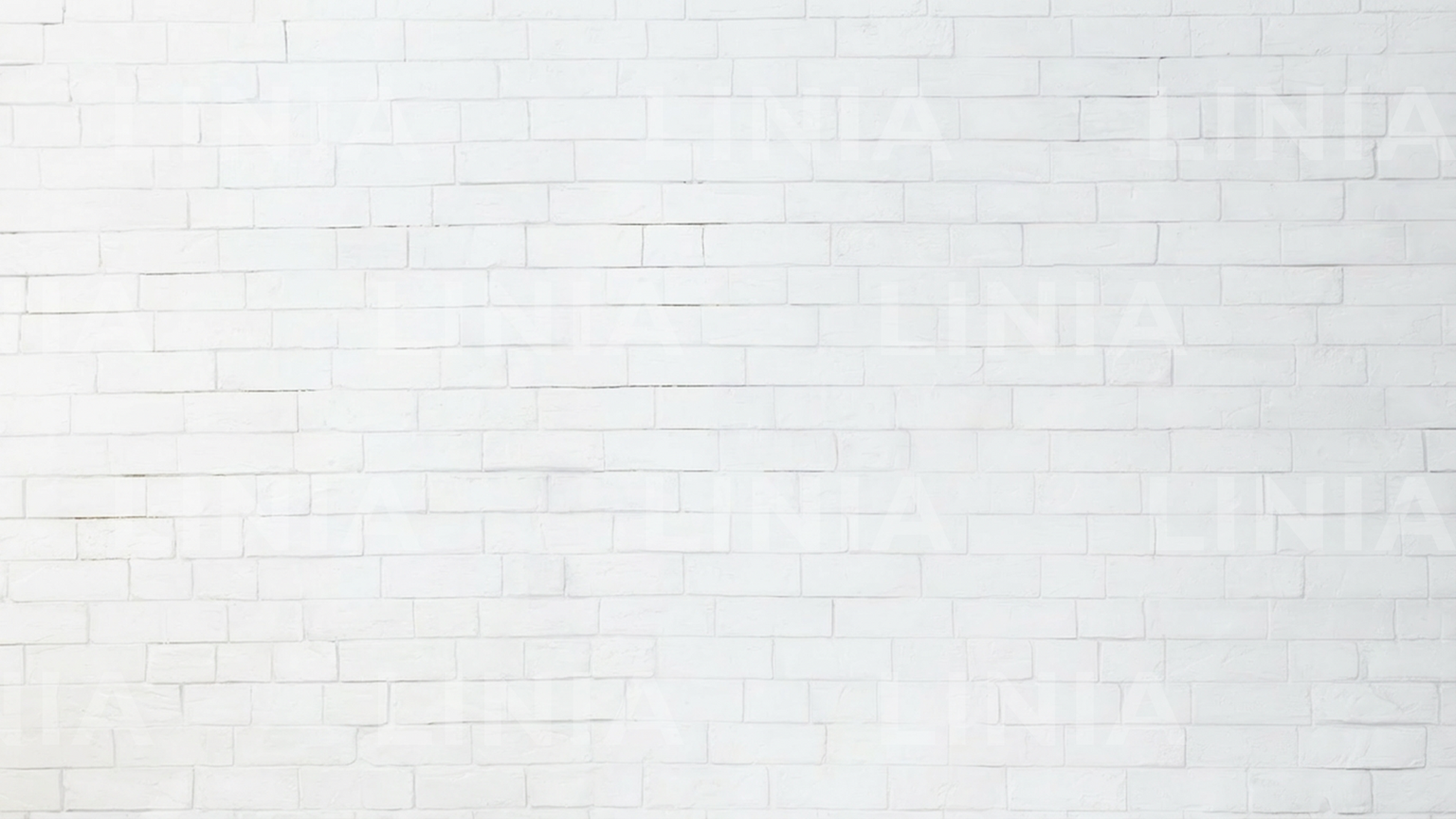 White Brick Wall Zoom Background