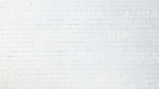 White Brick Wall Zoom Background