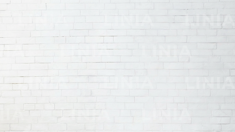 White Brick Wall Zoom Background