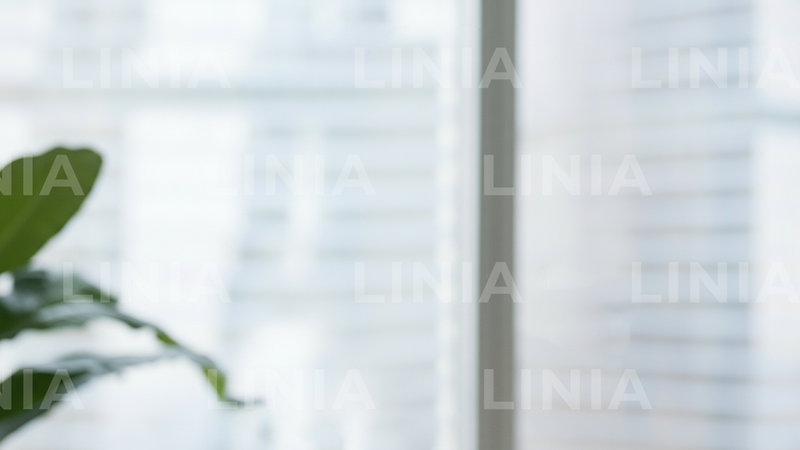 White Zoom Background