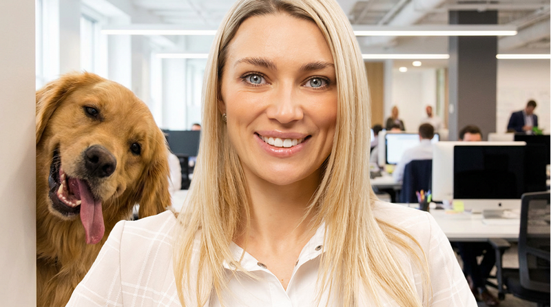 Funny Zoom Background Image