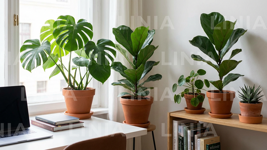 Plants Zoom Background