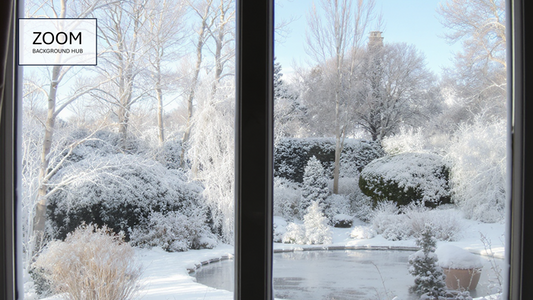Snow Zoom Background