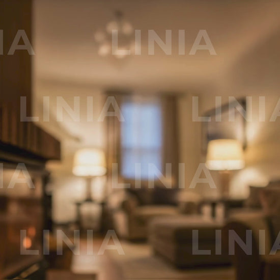 Animated Fireplace Zoom Background